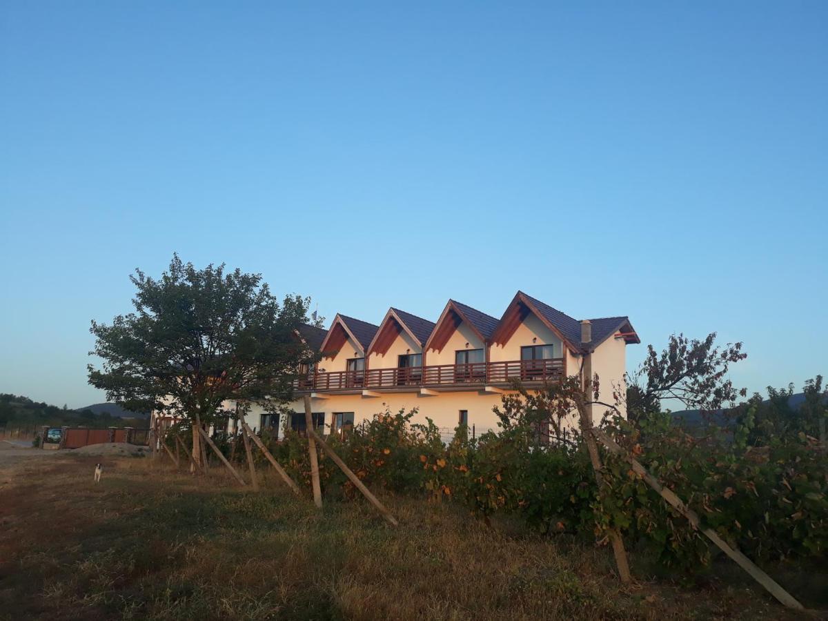 Ighiu Pensiunea Casa Negrea מראה חיצוני תמונה